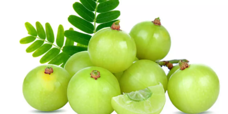 நெல்லிக்கனியில் உள்ள சத்துக்கள்..!