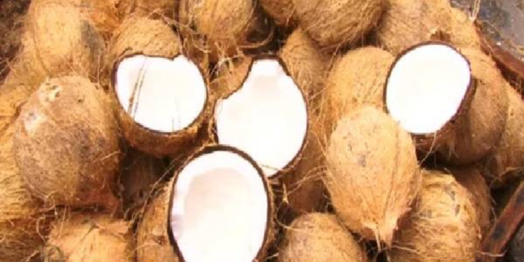 தேங்காய் விலையில் ஏற்பட்டுள்ள மாற்றம்!