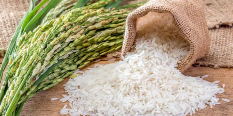 சந்தையில் அரிசிக்கு தட்டுப்பாடு!