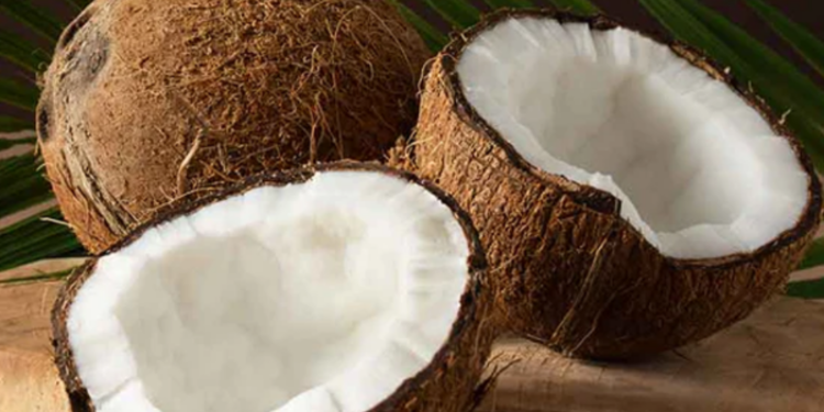 2025 வரை நீடிக்கும் தேங்காய் தட்டுப்பாடு!