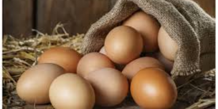 முட்டை விலை உயரும் நிலை!