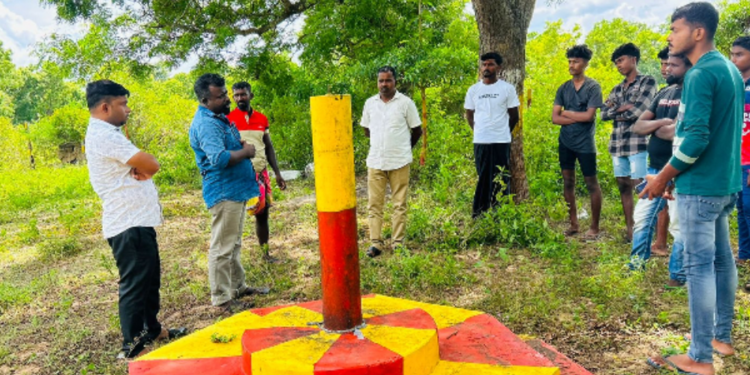 புத்துயிர் பெறும் துயிலமிலங்கள்