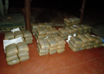 கிளிநொச்சியில் ஒரு தொகை கேரளா கஞ்சா மீட்பு!