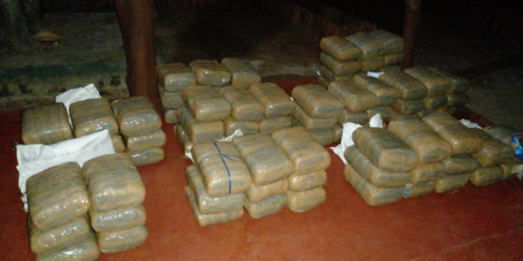 கிளிநொச்சியில் ஒரு தொகை கேரளா கஞ்சா மீட்பு!