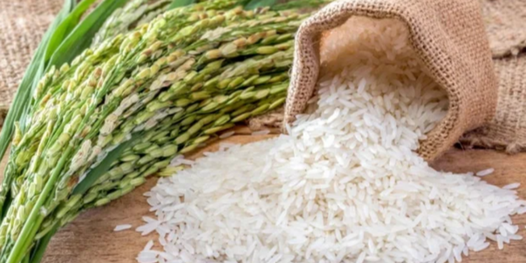 பீர் உற்பத்தி அரிசி தட்டுப்பாட்டிற்கு காரணமா?