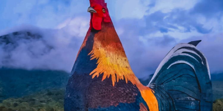 பிரபல நாடொன்றில் கின்னஸ் உலக சாதனை படைத்த சேவல் வடிவத்திலான உல்லாச விடுதி