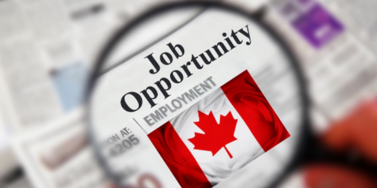 கனடாவில் வேலை வாய்ப்பு குறித்து வெளியான செய்தி!