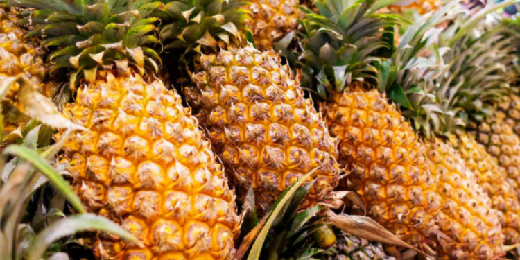 அன்னாசிப்பழத்தின் விலையில் ஏற்ப்பட்டுள்ள மாற்றம்!