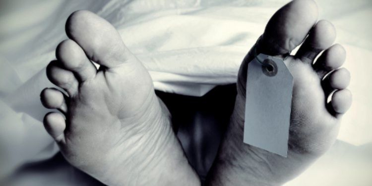 யாழில் பாம்பு தீண்டியவர் மரணம்!