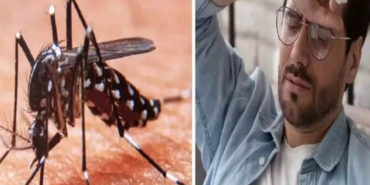 சிக்குன்குனியா நோயால் பாதிக்கப்பட்டவர் எப்படி இருப்பார்?