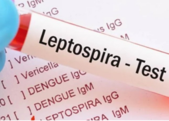 யாழை உலுக்கும் மர்ம காய்ச்சல் தொடர்பில் சுகாதார அமைச்சு வெளியிட்டுள்ள செய்தி!