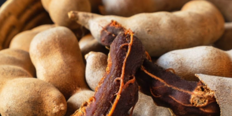 உச்சம் தொட்ட பபுளியின் விலை!