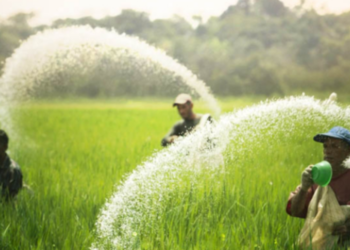 விவசாயிகளுக்கு இலவச மானிய விநியோகம்!