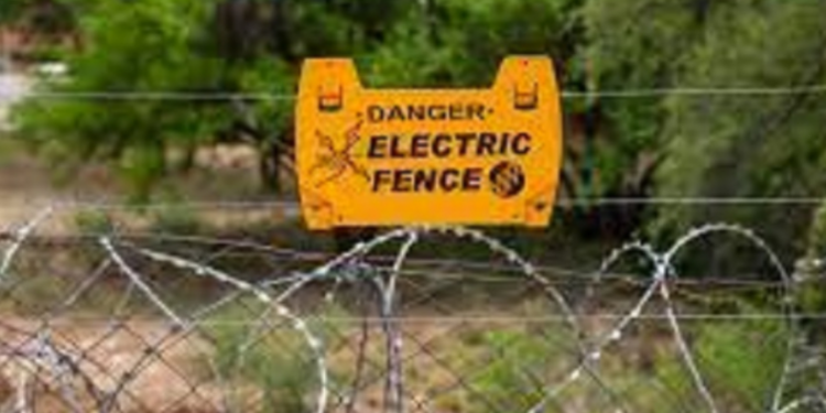 சட்டவிரோத மின் வேலியில் சிக்கி ஒருவர் பலி!