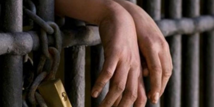 நத்தார் பண்டிகையை முன்னிட்டு சிறைக்கைதிகளுக்கு பொது மன்னிப்பு!