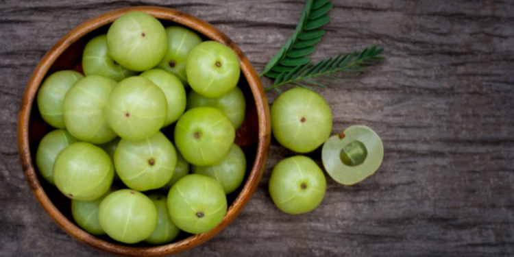 குளிர்காலத்தில் நெல்லிக்காய் சாப்பிடுவதால் கிடைக்கும் நன்மைகள்!