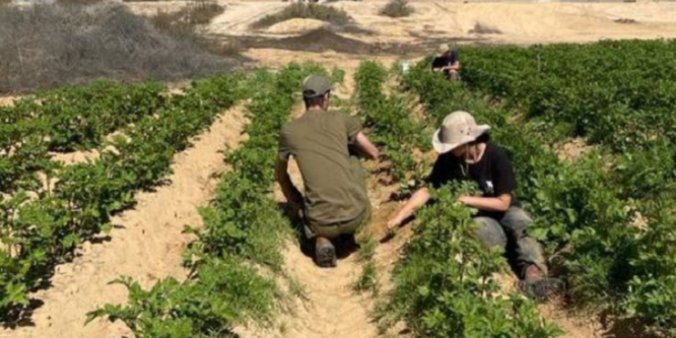 இலங்கை இளைஞர்கள் குழுவிற்கு வெளிநாட்டில் மீண்டும் கிடைத்த வாய்ப்பு!