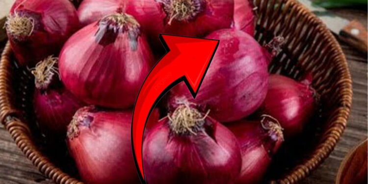 வெங்காயத்தின் விலையில் ஏற்ப்பட்டுள்ள மாற்றம்!