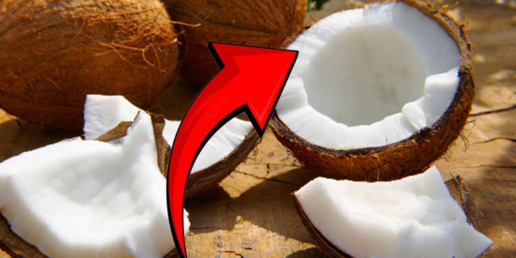 மீண்டும் தேங்காய் விலை உயர்வு!