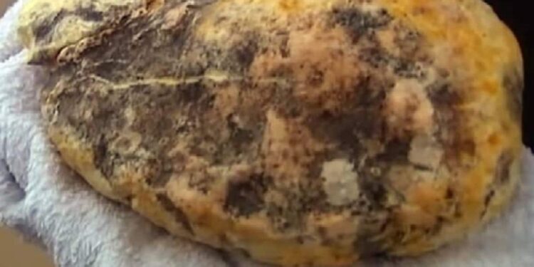 திமிங்கில வாந்தியுடன் நபர் ஒருவர் கைது!