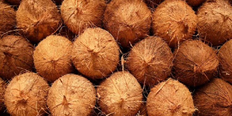 தேங்காய் தட்டுப்பாடு குறித்து அரசு மேற்கொண்டுள்ள நடவடிக்கை!