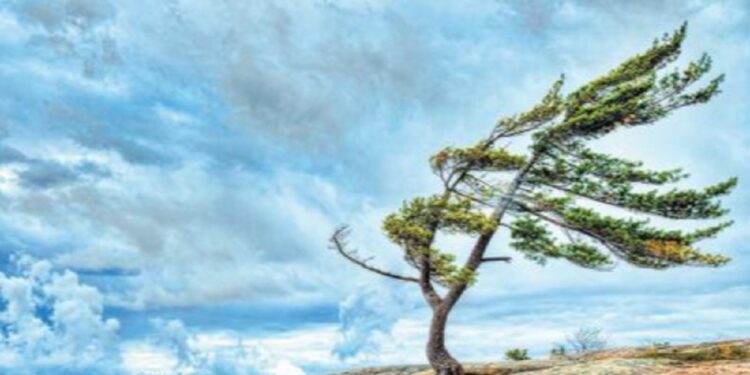 காற்றின் தரம் குறித்து யாழ் மக்களுக்கு எச்சரிக்கை!