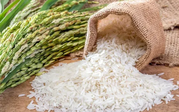 அரிசி இறக்குமதியை நிறுத்த தீர்மானித்துள்ள அரசு!