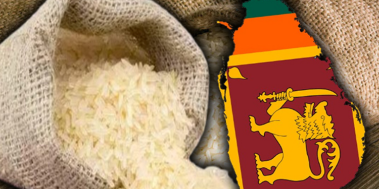 இறக்குமதி செய்த அரிசியை சதொச ஊடாக விநியோகிக்க நடவடிக்கை!