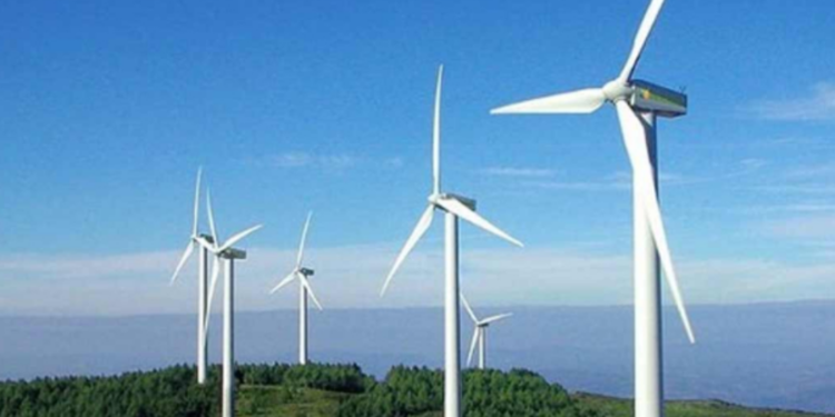 மன்னார் காற்றலை தொடர்பில் எடுக்கப்பட்ட தீர்மானம்!