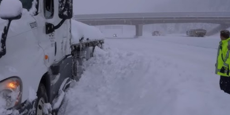 கனடாவில் தமிழ் இளைஞர் பரிதாப மரணம்!