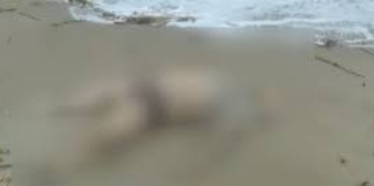 கடற்கரையில் கரையொதுங்கிய ஆணின் சடலம்!