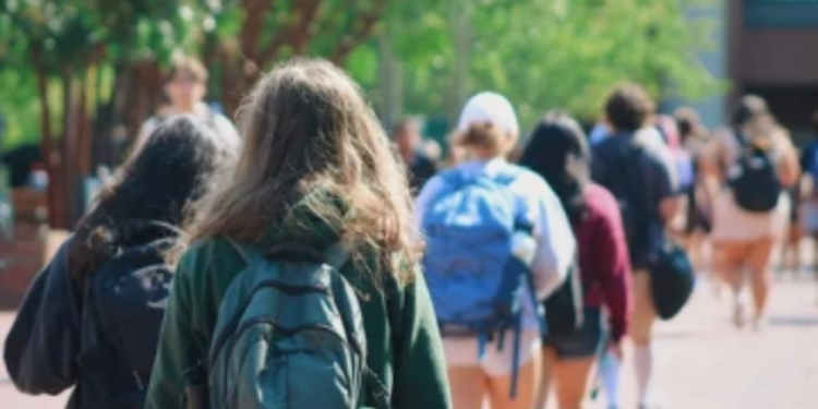 பல்கலைக்கழக மாணவர்கள் மீது தாக்குதல் நடாத்திய நபர்கள் கைது!