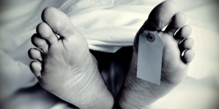 எலிக்காய்ச்சல் கிளிநொச்சியில் இருவர் மரணம்!