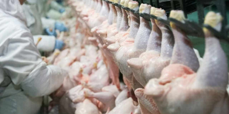 இலங்கையிலிருந்து சீனாவுக்கு கோழி இறைச்சி ஏற்றுமதி!