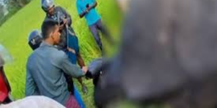 வீதி ஓரத்தில் உயிரிழந்து கிடந்த காட்டு யானை!