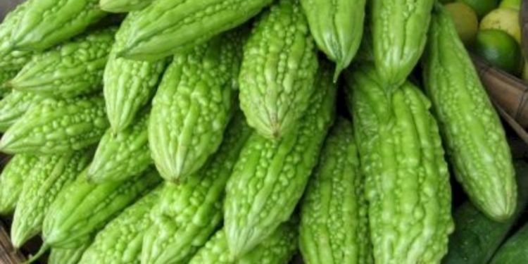 பாகற்காயின் மருத்துவ குணங்கள்!