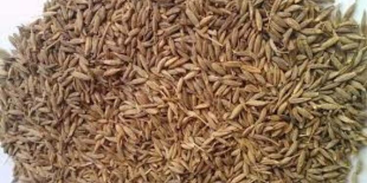 சீரகத்தின் மருத்துவ குணங்கள்