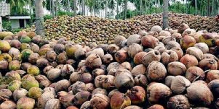 ஆளுநர் மீது தேங்காய் ஏற்றுமதி தொடர்பில் குற்றச்சாட்டு!