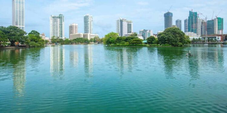 பேரவாவியில் பறவைகள் உயிரிழப்பிற்கான காரணம் வெளியானது!