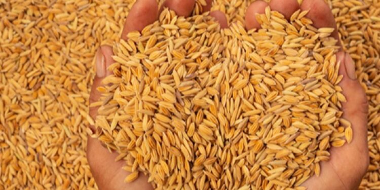 அரிசி ஆலை உரிமையாளர்கள் மீது குற்றச்சாட்டு!