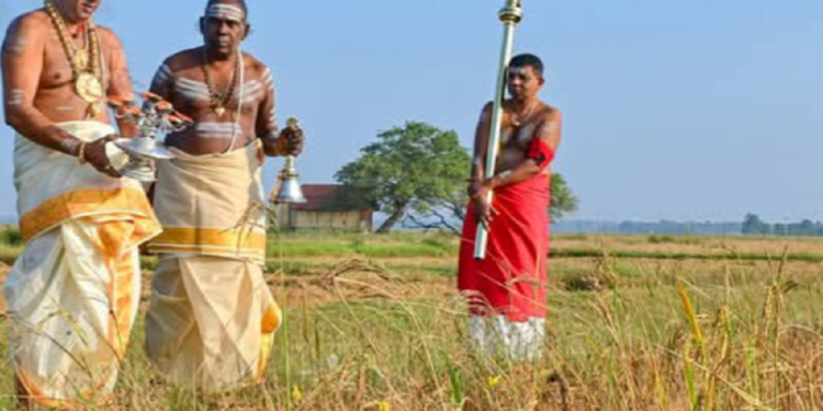 தைப்பூச நாளில் நல்லூர் கந்தனின் புதிர் அறுவடை!