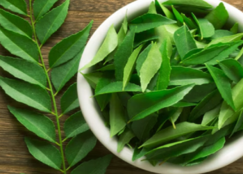 காடு போல அடர்த்தியான தலைமுடி வேண்டுமா?