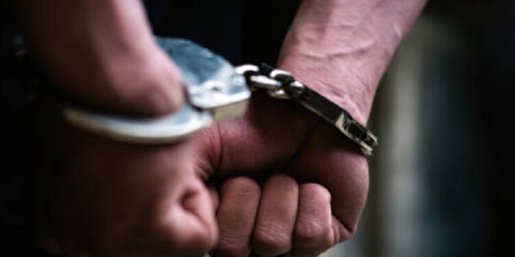 NPP எம்.பியின் சகோதரர் ஒருவர்  கைது!