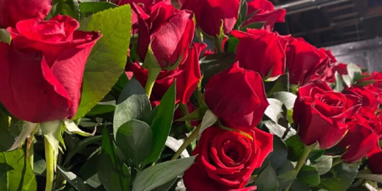 காதலர் தினத்தை முன்னிட்டு அமோக விற்பனை செய்யப்படும்  ரோஜா பூக்கள்