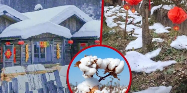 சுற்றுலாப் பயணிகளை சீனா ஏமாற்றியதாக குற்றச்சாட்டு!