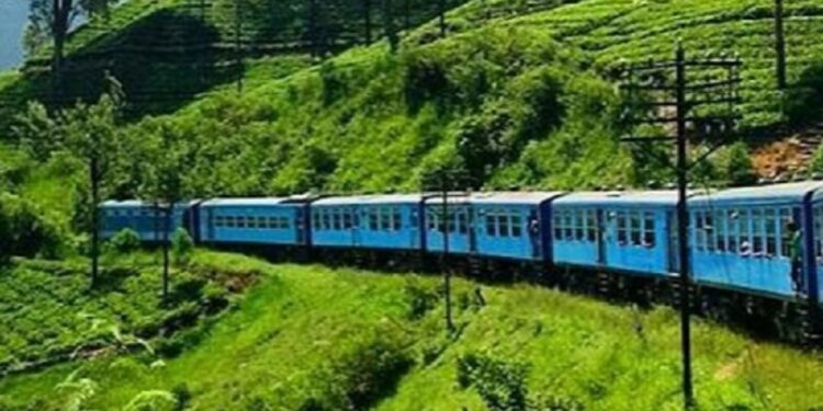 செல்பியால் பறிபோன பெண்ணின் உயிர்!