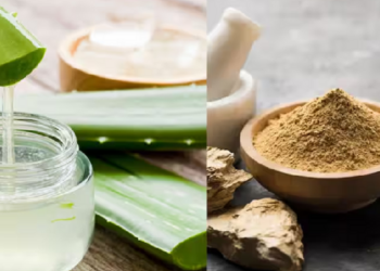 முகப் பொலிவை அதிகப்படுத்தும் கற்றாழையை எப்படி பயன்படுத்த வேண்டும்