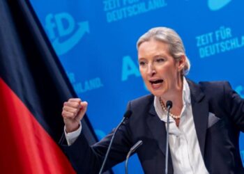 ஜேர்மன் வலதுசாரி கட்சியின் தலைவி இலங்கை பெண்ணுடன் பாலுறவா கசிந்த தகவல்!