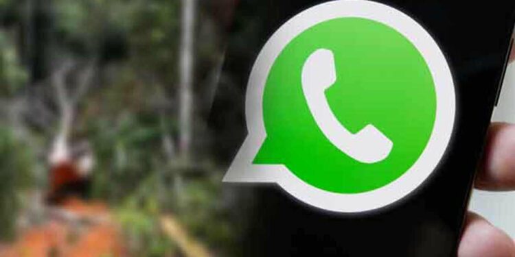 சுற்றாடல் அமைச்சால் புதிய வட்சப் இலக்கம் அறிமுகம்!