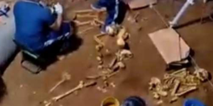 கொழும்பு மனித புதைகுழியில் இருந்து மீட்க்கப்பட்ட எலும்புக் கூடுகள்!